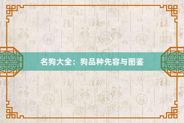 名狗大全：狗品种先容与图鉴